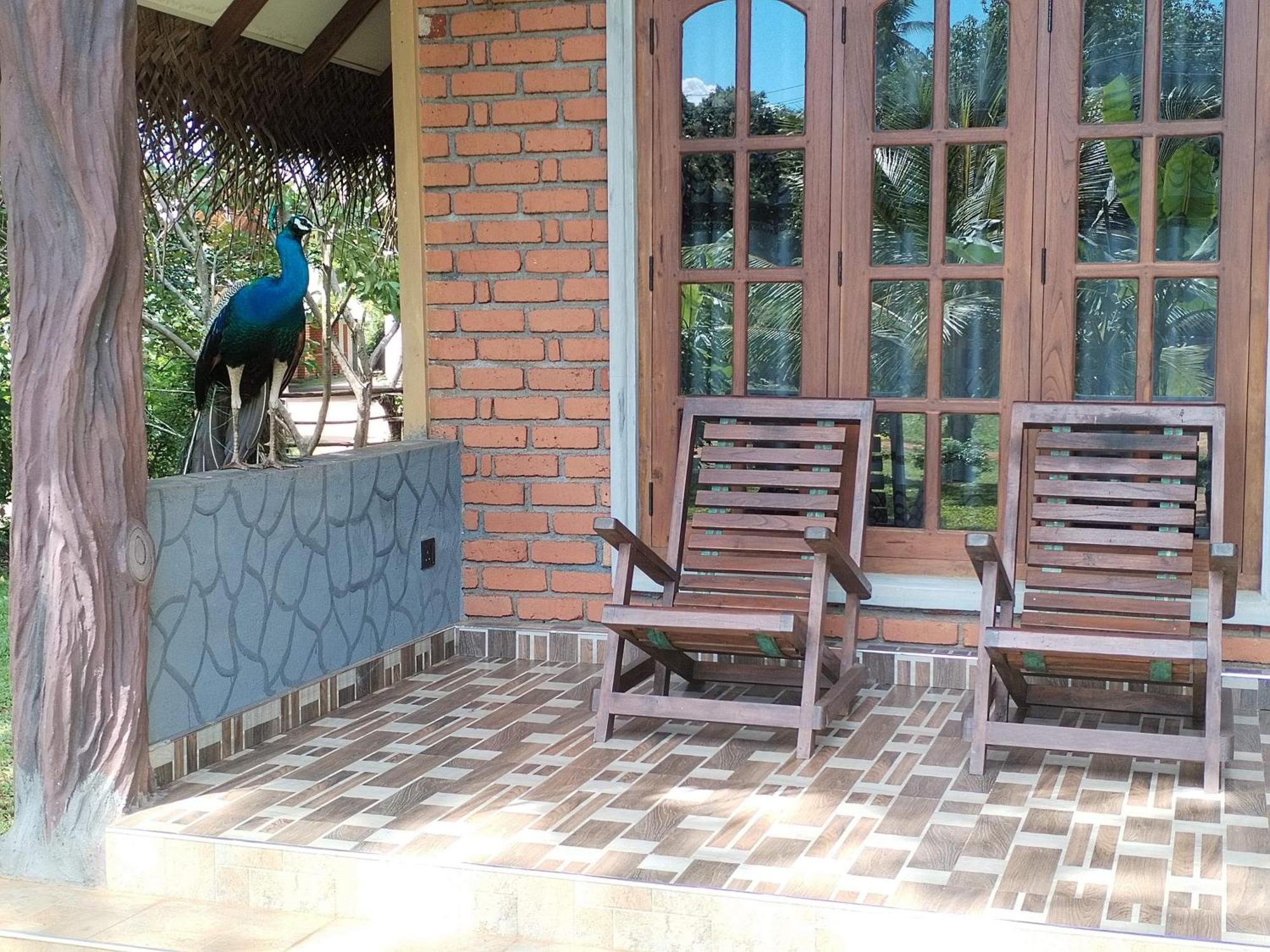 Sigiriya Nature Resort Extérieur photo