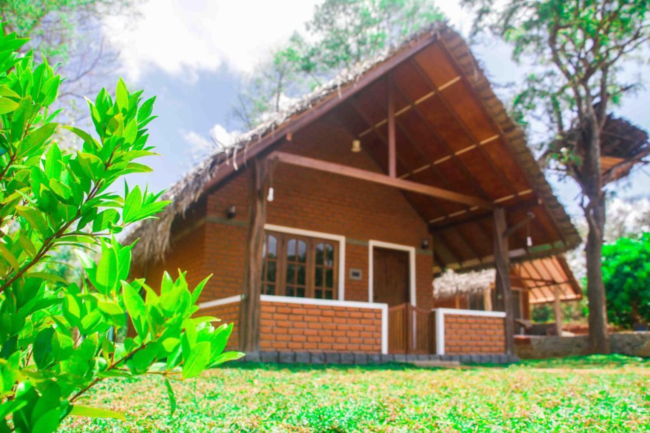 Sigiriya Nature Resort Extérieur photo