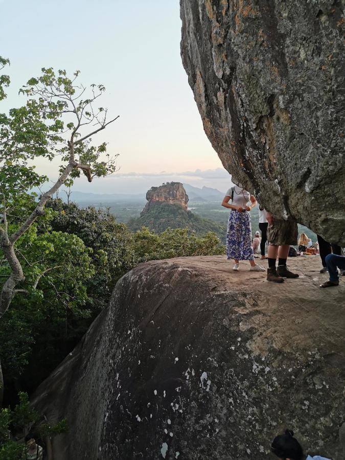 Sigiriya Nature Resort Extérieur photo