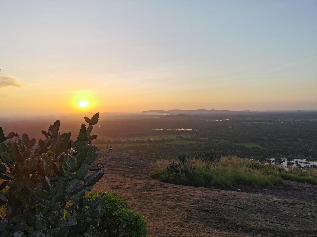 Sigiriya Nature Resort Extérieur photo